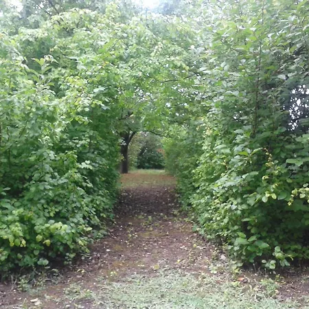 Daniel Dom wakacyjny Balatonfőkajár