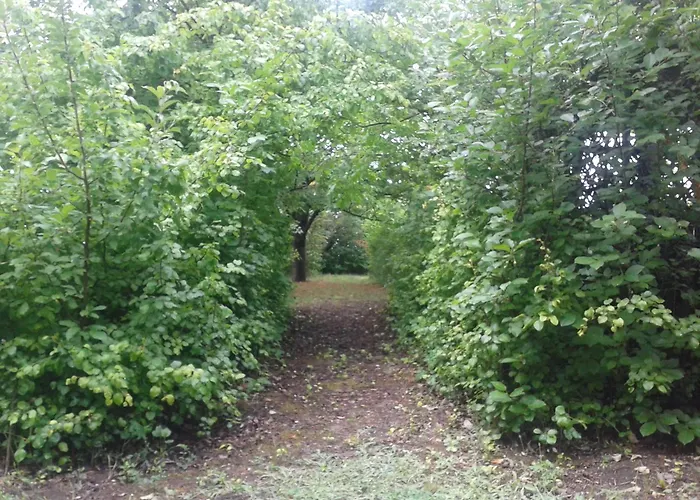 Daniel Semesterbostad Balatonfőkajár